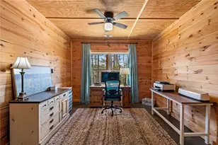 259 Red Bush School Rd, Blue Ridge, GA 30513 - Photo 27