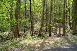 986 Mountain Oak Rd, Ellijay, GA 30536 - Photo 37