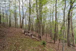 986 Mountain Oak Rd, Ellijay, GA 30536 - Photo 29