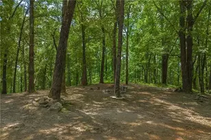 7591 S Chestatee St, Dahlonega, GA 30533 - Photo 27