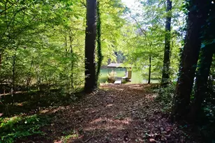 240 Chappell Rd, Dawsonville, GA 30534 - Photo 35