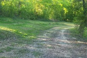160 Norman Rd, Covington, GA 30014 - Photo 51