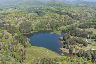 302 Cv Lk Dr, Marble Hill, GA 30148 - Photo 55