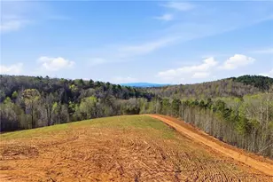1927 Leeches Rd, Ellijay, GA 30540 - Photo 5