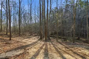 1927 Leeches Rd, Ellijay, GA 30540 - Photo 13