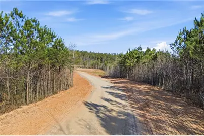 1927 Leeches Road, Ellijay, GA 30540 - Photo 11