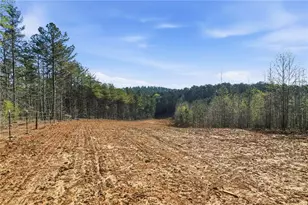 1927 Leeches Rd, Ellijay, GA 30540 - Photo 19