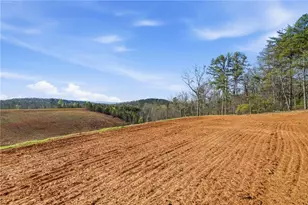 1927 Leeches Rd, Ellijay, GA 30540 - Photo 17