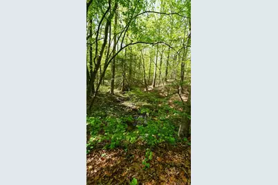 301 Clayton Trail, Canton, GA 30114 - Photo 81