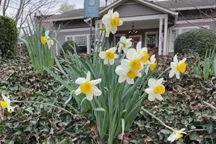 486 Church St, Marietta, GA 30060 - Photo 59
