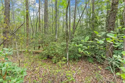0 S Fern Cove Road, Sautee Nacoochee, GA 30571 - Photo 29