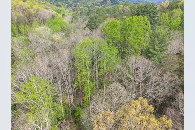0 S Fern Cove Road, Sautee Nacoochee, GA 30571 - Photo 15
