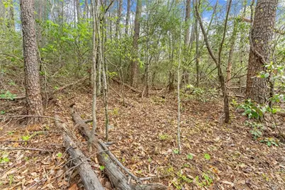 0 S Fern Cove Road, Sautee Nacoochee, GA 30571 - Photo 25