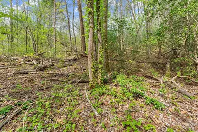 0 S Fern Cove Road, Sautee Nacoochee, GA 30571 - Photo 33