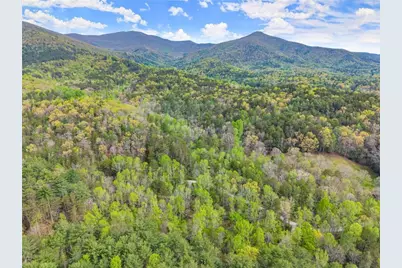 0 S Fern Cove Road, Sautee Nacoochee, GA 30571 - Photo 11