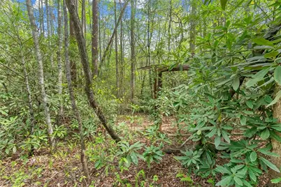 0 S Fern Cove Road, Sautee Nacoochee, GA 30571 - Photo 31