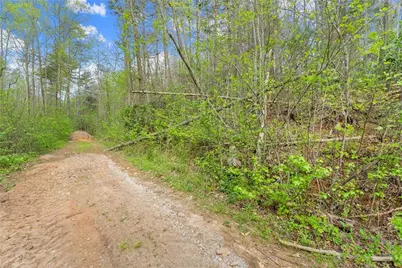 0 S Fern Cove Road, Sautee Nacoochee, GA 30571 - Photo 23