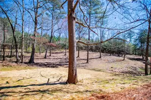 4221 N Hwy 100, Waco, GA 30182 - Photo 51