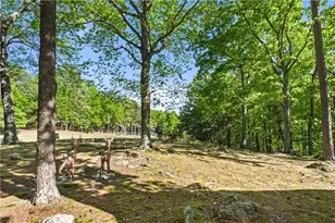 114 Cherokee Dr S, Waleska, GA 30183 - Photo 39