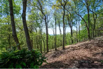 1339 Ridgeview Drive, Big Canoe, GA 30143 - Photo 31