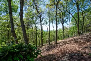 1339 Ridgeview Dr, Big Canoe, GA 30143 - Photo 31