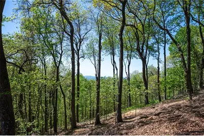 1339 Ridgeview Drive, Big Canoe, GA 30143 - Photo 25