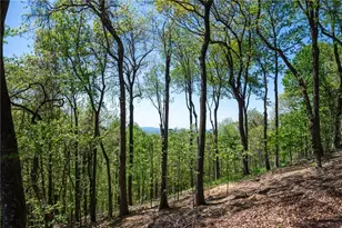 1339 Ridgeview Dr, Big Canoe, GA 30143 - Photo 25