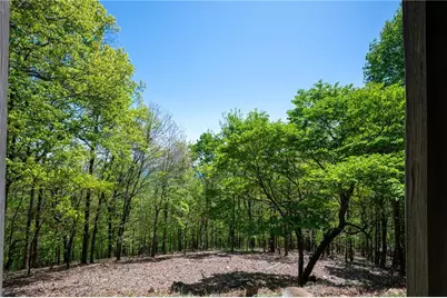 1339 Ridgeview Drive, Big Canoe, GA 30143 - Photo 27