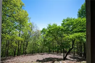 1339 Ridgeview Dr, Big Canoe, GA 30143 - Photo 27