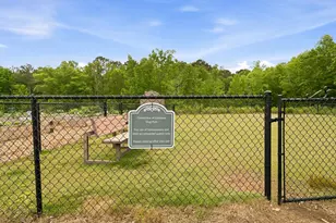 167 Mountain Blvd, Jasper, GA 30143 - Photo 35
