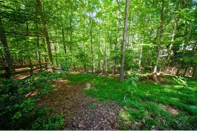 111 Allatoona Drive, Woodstock, GA 30189 - Photo 39