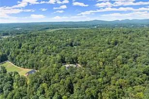 255 Reece Rd, Dawsonville, GA 30534 - Photo 79
