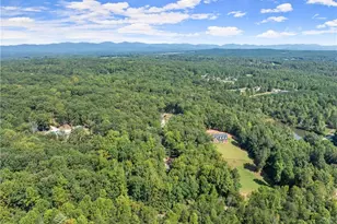 255 Reece Rd, Dawsonville, GA 30534 - Photo 75