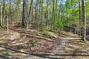 7433 Nicklesville Rd NE, Ranger, GA 30734 - Photo 45