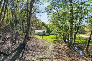 7433 Nicklesville Rd NE, Ranger, GA 30734 - Photo 35