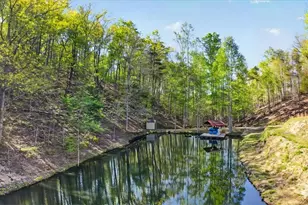 7433 Nicklesville Rd NE, Ranger, GA 30734 - Photo 41