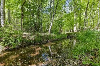 5040 Bird Road, Gainesville, GA 30506 - Photo 45