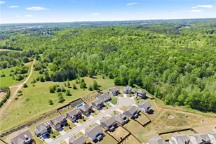7098 Br Crk Cv, Flowery Branch, GA 30542 - Photo 53