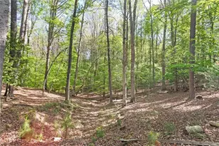 1466 Newport Dr, Ellijay, GA 30540 - Photo 37