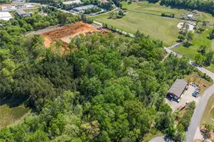 5017 Ball Ground Hwy, Ball Ground, GA 30107 - Photo 57