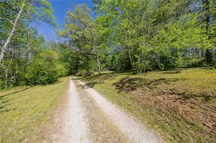 5017 Ball Ground Hwy, Ball Ground, GA 30107 - Photo 5