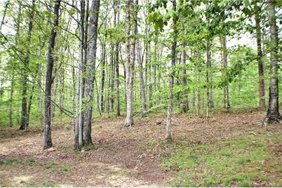 124 S Stewart Lane, Rising Fawn, GA 30738 - Photo 91