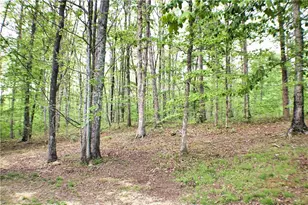 124 S Stewart Ln, Rising Fawn, GA 30738 - Photo 91