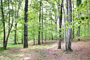 124 S Stewart Ln, Rising Fawn, GA 30738 - Photo 89