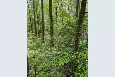 348 Hemlock Trail, Ellijay, GA 30540 - Photo 7
