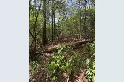 348 Hemlock Trail, Ellijay, GA 30540 - Photo 11