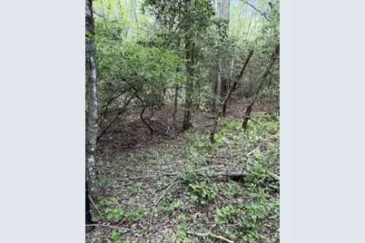 348 Hemlock Trail, Ellijay, GA 30540 - Photo 31