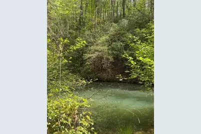 348 Hemlock Trail, Ellijay, GA 30540 - Photo 27