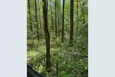 348 Hemlock Trail, Ellijay, GA 30540 - Photo 35