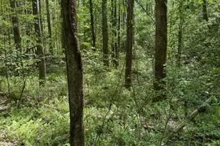 348 Hemlock Trl, Ellijay, GA 30540 - Photo 35